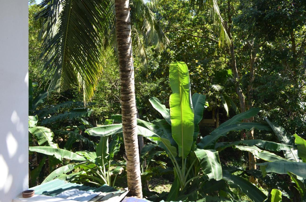 Hansa Villa Unawatuna Bagian luar foto