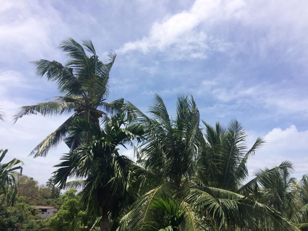 Hansa Villa Unawatuna Bagian luar foto